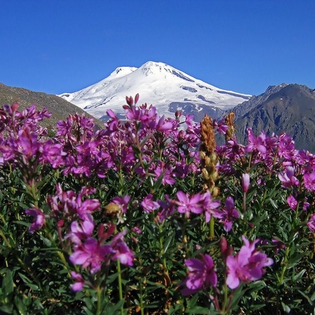 Кавказ и Краснодарский край